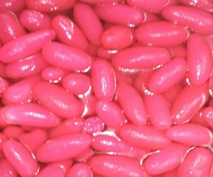 MM Royal Caters and Events